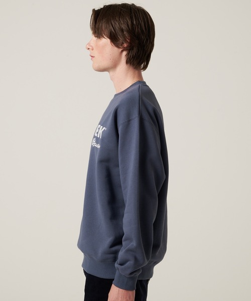 Eddie Bauer（エディーバウアー）の「EBTEK ロゴ スウェット（スウェット・メンズ・イエロー/ダークネイビー/グレー・XL/L/M）」の12枚目の写真