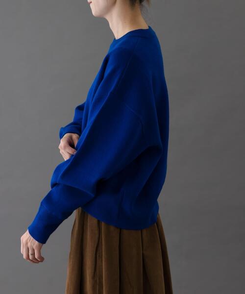 FORK&SPOON（フォークアンドスプーン）の「FORK&SPOON　ダブルフェイスクルーネックニット（ニット/セーター・レディース・グレー系その他/オフホワイト/ブルー・1）」の11枚目の写真