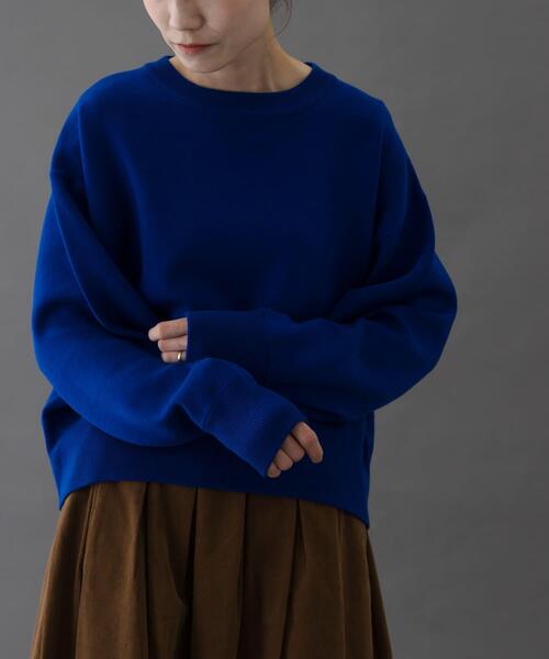 FORK&SPOON（フォークアンドスプーン）の「FORK&SPOON　ダブルフェイスクルーネックニット（ニット/セーター・レディース・グレー系その他/オフホワイト/ブルー・1）」の15枚目の写真