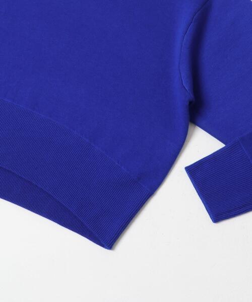 FORK&SPOON（フォークアンドスプーン）の「FORK&SPOON　ダブルフェイスクルーネックニット（ニット/セーター・レディース・グレー系その他/オフホワイト/ブルー・1）」の18枚目の写真