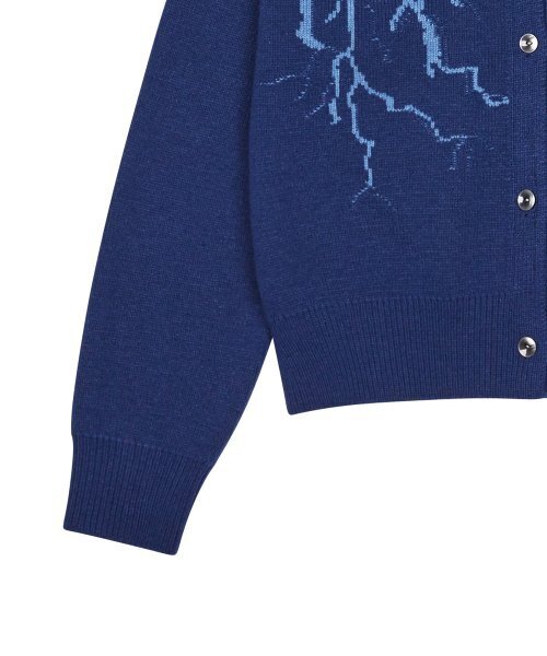 LUVISTRUE(ラヴイズトゥルー)の「WO Z CARDIGAN(PURPLE)(カーディガン/ボレロ・レディース・その他・FREE)」の5枚目の写真