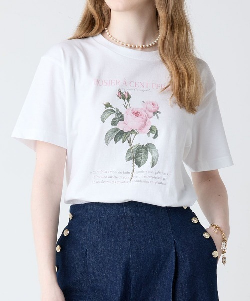 an another angelus(アンアナザーアンジェラス)の「花図鑑プリントT/fint フィント(Tシャツ/カットソー・レディース・イエロー/パープル/ラベンダー/ライトブルー/ピンク・FREE)」の20枚目の写真