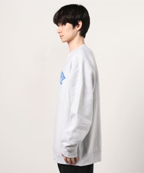 ONLY NY（オンリーニューヨーク）の「【ONLY NY】オンリーニューヨーク Wildlife Cross Grain Crewneck（スウェット・メンズ・アッシュグレー・XX-LARGE）」の2枚目の写真