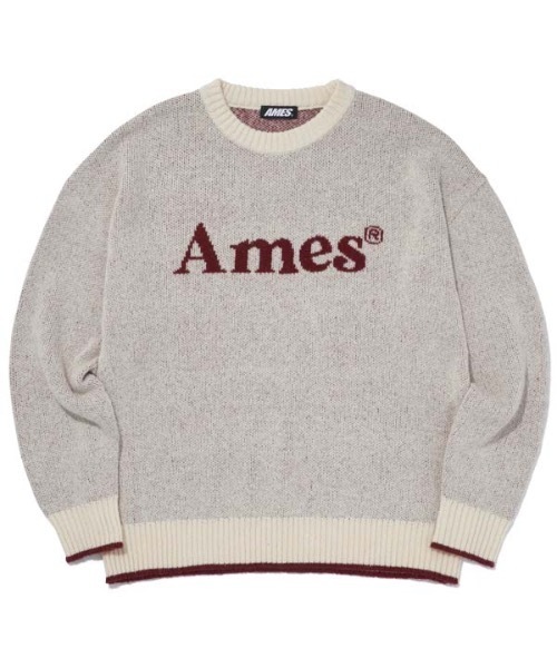 AMESWORLDWIDE（アメスワールドワイド）の「【AMESWORLDWIDE 】カラードロゴニット / COLORED LOGO KNIT（ニット/セーター・レディース・スカイブルー/ブラック/アイボリー・FREE）」の18枚目の写真