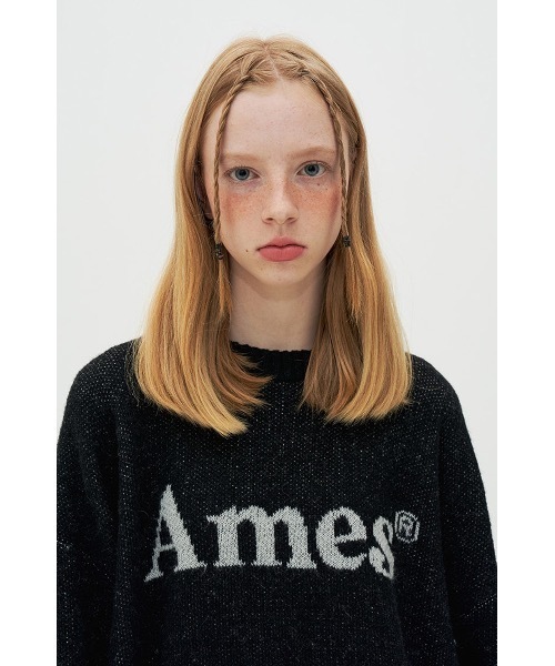 AMESWORLDWIDE（アメスワールドワイド）の「【AMESWORLDWIDE 】カラードロゴニット / COLORED LOGO KNIT（ニット/セーター・レディース・スカイブルー/ブラック/アイボリー・FREE）」の12枚目の写真