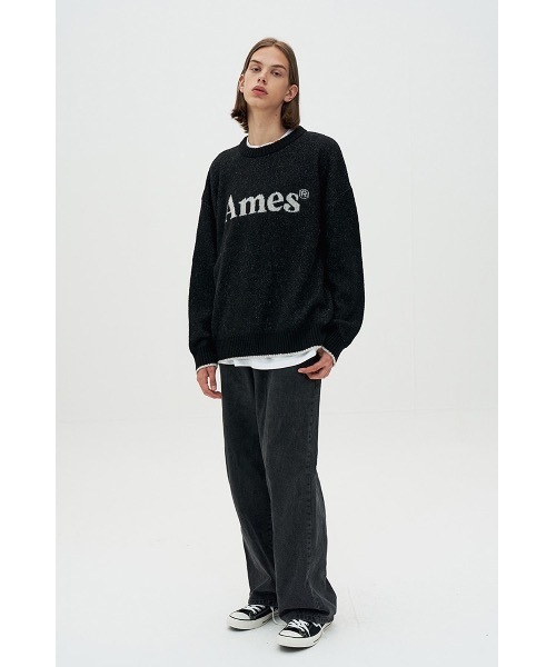 AMESWORLDWIDE（アメスワールドワイド）の「【AMESWORLDWIDE 】カラードロゴニット / COLORED LOGO KNIT（ニット/セーター・レディース・スカイブルー/ブラック/アイボリー・FREE）」の19枚目の写真