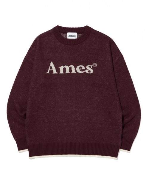 AMESWORLDWIDE（アメスワールドワイド）の「【AMESWORLDWIDE 】カラードロゴニット / COLORED LOGO KNIT（ニット/セーター・レディース・スカイブルー/ブラック/アイボリー・FREE）」の10枚目の写真