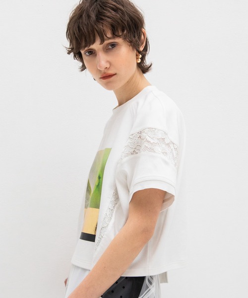 AULA AILA(アウラアイラ)の「アンモナイトプリントTシャツ(Tシャツ/カットソー・レディース・グレー/ライム/ブルー・0)」の5枚目の写真