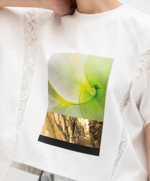 AULA AILA(アウラアイラ)の「アンモナイトプリントTシャツ(Tシャツ/カットソー・レディース・グレー/ライム/ブルー・0)」の7枚目の写真