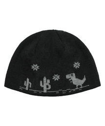 HIDDEN BEHIND（ヒドゥンビハインド）の「ジャカードダイノビーニー（ブラック）（ニットキャップ/ビーニー）」