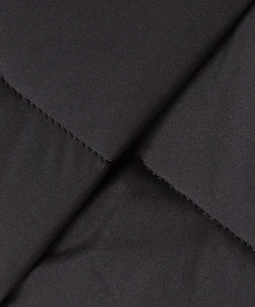 CLIMASHIELD APEX / クライマシールド エーペックス】PADDING RV