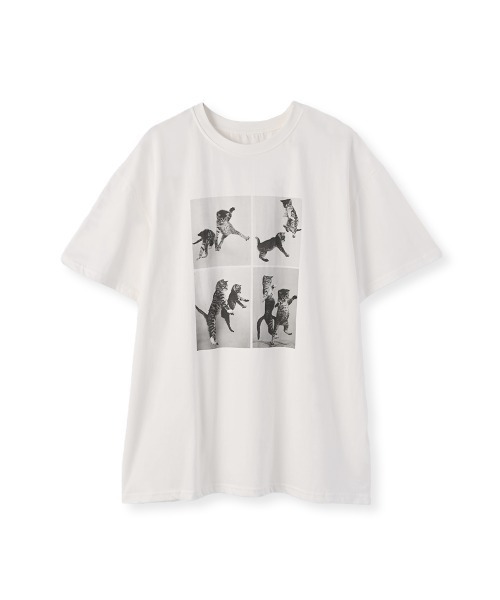 marjour（マージュール）の「CAT TEE（Tシャツ/カットソー・レディース・オフホワイト・M）」の11枚目の写真