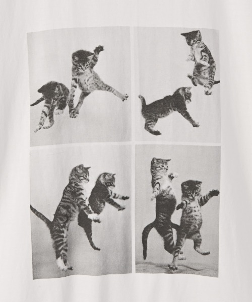 marjour（マージュール）の「CAT TEE（Tシャツ/カットソー・レディース・オフホワイト・M）」の16枚目の写真