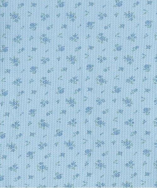 ALWAYS GOOD TIME(オルウェイズグッドタイム)の「【JEMORGAN / ジェーイーモーガン】花柄ワッフルハーフスリーブピグメントT(Tシャツ/カットソー・レディース・ブルー系/イエロー系/ブラック系/グリーン系・F)」の8枚目の写真