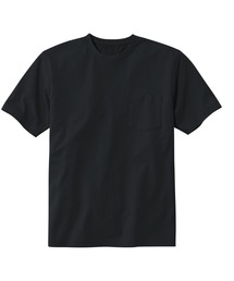 L.L.Bean（エルエルビーン）の「ケアフリー・アンシュリンカブル・ティ、半袖　ポケット付き ジャパン・フィット（Tシャツ/カットソー）」