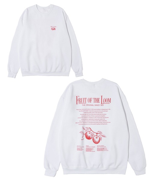 FRUIT OF THE LOOM（フルーツオブザルーム）の「プリントトレーナーB / 長袖 / クルーネック/ スウェット / プリント / カジュアル / ユニセックス（スウェット・メンズ・A/H/J/Q/C/D/E/F/K/L/M/N/B/G/I/P・M/L/XL）」の4枚目の写真