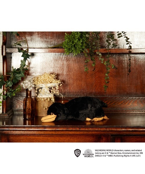 Fantastic Beasts / ファンタスティック・ビースト 】 あそんで