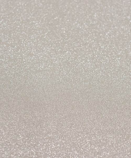 fredy emue（フレディエミュ）の「ラメタンクトップ（Tシャツ/カットソー・レディース・ブラック/シルバー/ベージュ・38）」の6枚目の写真