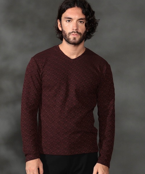 幾何学柄風ジャカードＶネックプルオーバー（Tシャツ/カットソー）｜HIDEAWAYS NICOLE（ハイダウェイニコル）