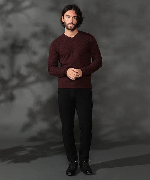 幾何学柄風ジャカードＶネックプルオーバー（Tシャツ/カットソー）｜HIDEAWAYS NICOLE（ハイダウェイニコル）