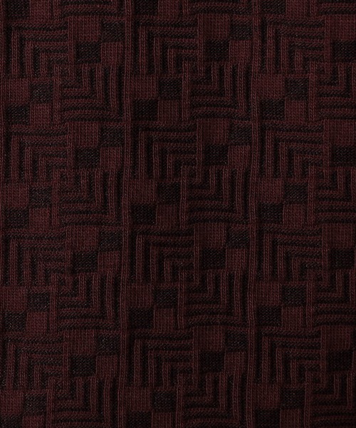 幾何学柄風ジャカードＶネックプルオーバー（Tシャツ/カットソー）｜HIDEAWAYS NICOLE（ハイダウェイニコル）