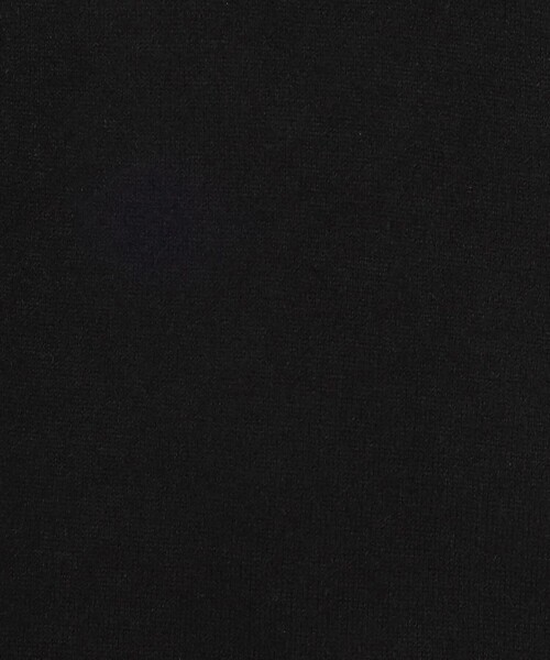 Afternoon Tea(アフタヌーンティー)の「ストレッチベロアボタングローブ(手袋・レディース・ブラウン/ブラック/グレー・ONE SIZE)」の7枚目の写真