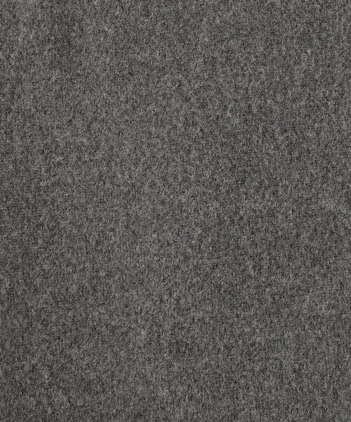 Afternoon Tea(アフタヌーンティー)の「ストレッチベロアボタングローブ(手袋・レディース・ブラウン/ブラック/グレー・ONE SIZE)」の11枚目の写真