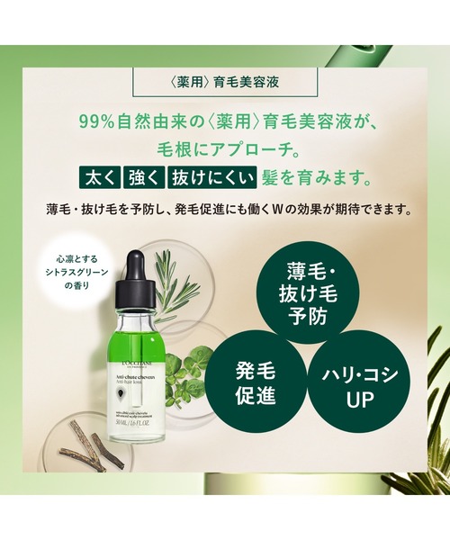 L'OCCITANE（ロクシタン）の「【数量限定】薬用 メディカル アンチヘアロスセラム 50mL[医薬部外品]×3本セット ウッドパドルブラシ付き〈薬用〉育毛美容液（ヘアケアキット/ギフトセット・レディース・その他・FREE）」の4枚目の写真