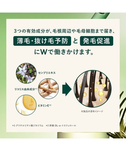 L'OCCITANE（ロクシタン）の「【数量限定】薬用 メディカル アンチヘアロスセラム 50mL[医薬部外品]×3本セット ウッドパドルブラシ付き〈薬用〉育毛美容液（ヘアケアキット/ギフトセット・レディース・その他・FREE）」の5枚目の写真