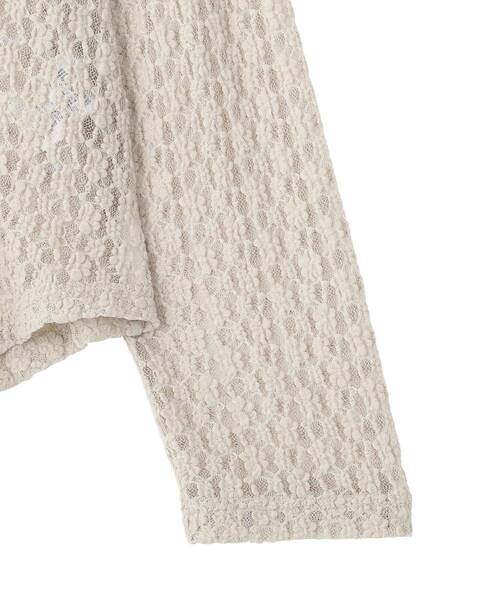 Green　Parks（グリーンパークス）の「衿付きレースカットプルオーバー（Tシャツ/カットソー・レディース・ホワイト系その他2/ライトグレー・FREE）」の21枚目の写真