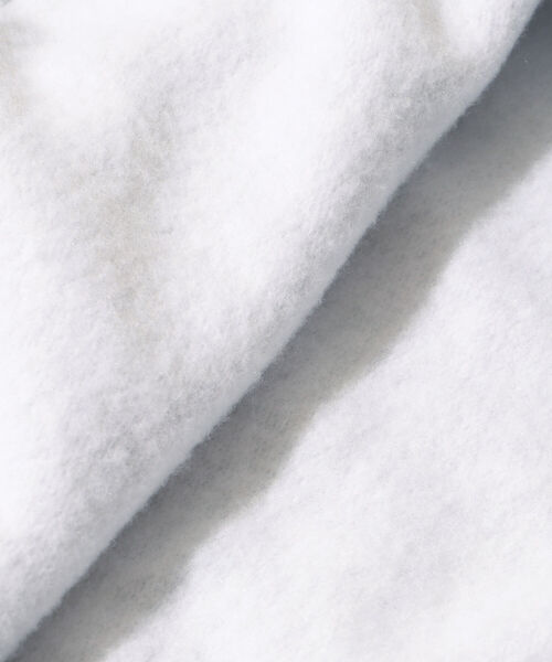 SUNNY SPORTS(サニースポーツ)の「SUNNY SPORTS × BEAMS LIGHTS / 別注 カレッジ ロゴ パーカ(パーカー・メンズ・ネイビー/シルバー・LARGE/X-LARGE)」の5枚目の写真