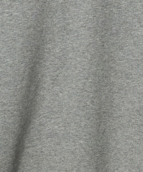 Russell Athletic(ラッセルアスレティック)の「【別注】<RUSSELL ATHLETIC>GLR ハーフジップ スウェット(スウェット・メンズ・ダークグレー/グレー系/ダークブラウン・M/XL/L)」の20枚目の写真