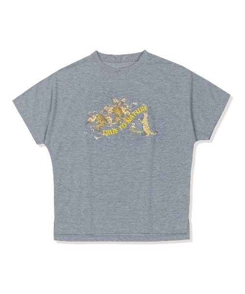 Foxfire（フォックスファイヤー）の「ＣシールドイリオモテＴ　Ｓ／Ｓ（Tシャツ/カットソー・レディース・グレー/ネイビー・L/M）」の5枚目の写真
