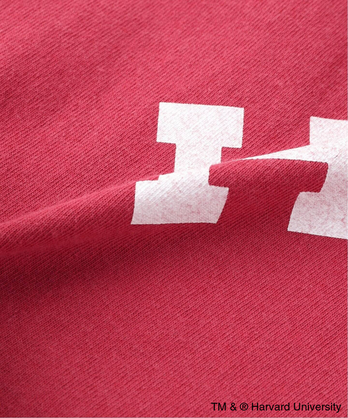 Russell Athletic(ラッセルアスレティック)の「Russell Athletic 別注 ベースボール7/S Tシャツ(Tシャツ/カットソー・メンズ・ワインレッド/ホワイト/ネイビー・LARGE/MEDIUM)」の7枚目の写真