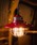 BAREBONES�i�x�A�{�[���Y�j�́uBarebonesLiving Edison Pendant Light (�x�A�{�[���Y���r���O �G�W�\�� �y���_���g���C�gLED)(BRONZE)(USB���C�g)�i�A�E�g�h�A�O�b�Y�j�v�b���b�h