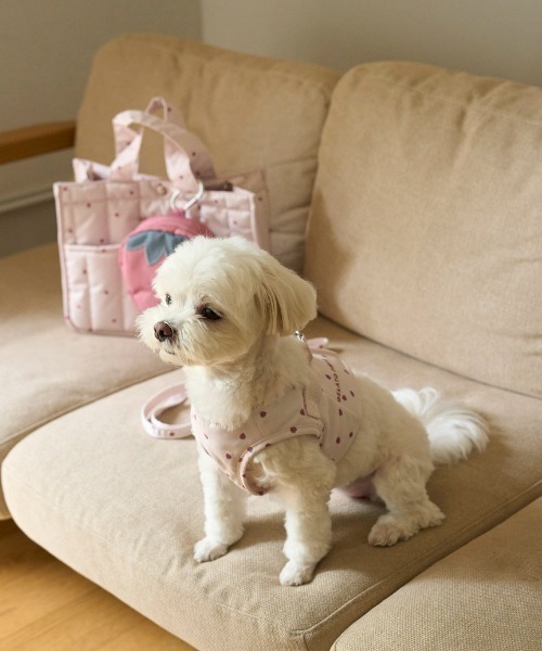 CAT&DOG】【販路限定商品】ストロベリーマナーポーチ（ペット用