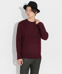SENSE OF PLACE by URBAN RESEARCH | ケーブルセーター(ニット/セーター)