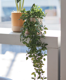 journal standard Furniture (W[iX^_[ht@j`[)́yBrown./uEztBJXVO |bg O[(t[x[X)