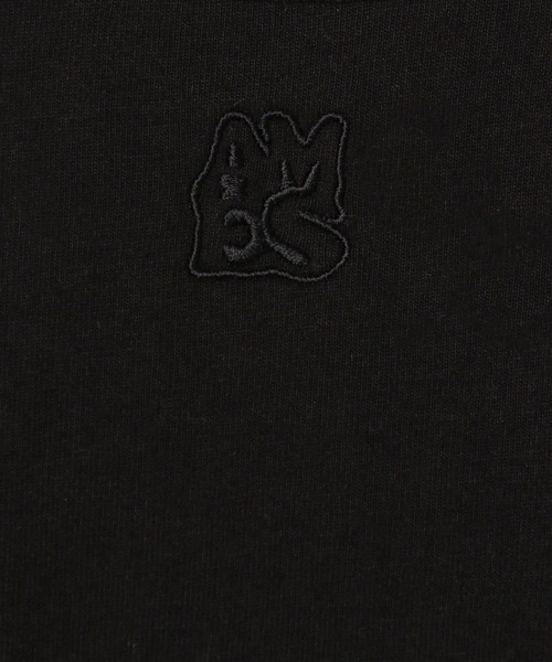 tシャツ AMES WORLDWIDE／レースブロックロングスリーブ レディース AMES WORLDWIDE／レースブロックロングスリーブ（Tシャツ