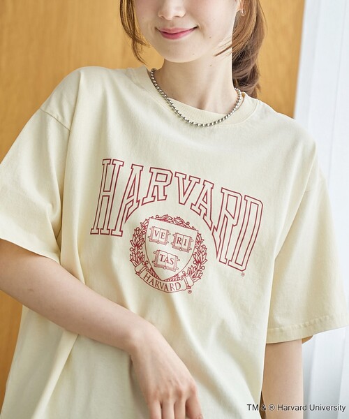 coen(コーエン)の「アソートカレッジロゴ プリントTシャツ(Tシャツ/カットソー・レディース・ケリーグリーン/ライトグレー/オフホワイト/ナチュラル・M/L)」の3枚目の写真
