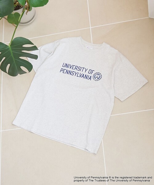 coen(コーエン)の「アソートカレッジロゴ プリントTシャツ(Tシャツ/カットソー・レディース・ケリーグリーン/ライトグレー/オフホワイト/ナチュラル・M/L)」の11枚目の写真