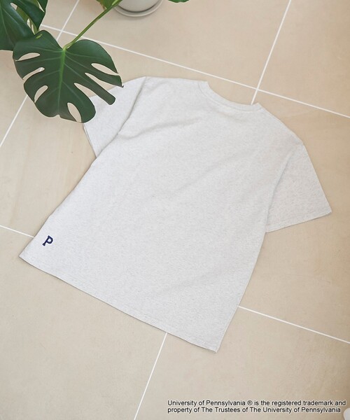 coen(コーエン)の「アソートカレッジロゴ プリントTシャツ(Tシャツ/カットソー・レディース・ケリーグリーン/ライトグレー/オフホワイト/ナチュラル・M/L)」の13枚目の写真