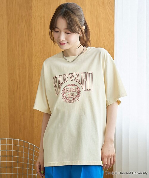 coen(コーエン)の「アソートカレッジロゴ プリントTシャツ(Tシャツ/カットソー・レディース・ケリーグリーン/ライトグレー/オフホワイト/ナチュラル・M/L)」の17枚目の写真