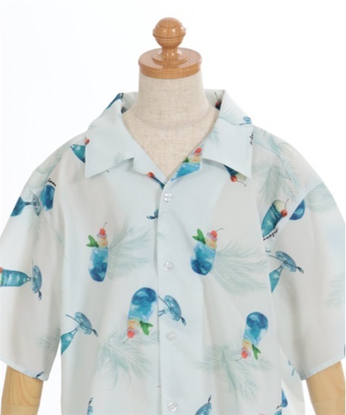 サタデーズ アロハシャツ ブルー XL reyn spooner プルオーバーアロハシャツ 