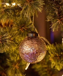 niko and...(jRAh)́y2024XmaszKXI[ig@6Z`(CeAG)