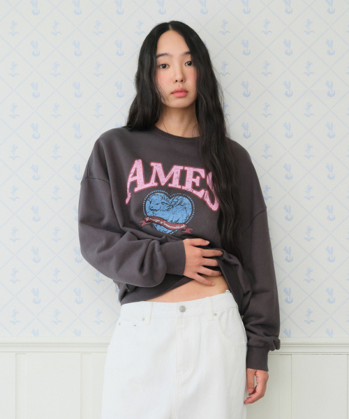 AMESWORLDWIDE（アメスワールドワイド）の「ANGEL LOVE SWEATSHIRT CHARCOAL（スウェット・レディース・その他・SMALL/MEDIUM）」の7枚目の写真