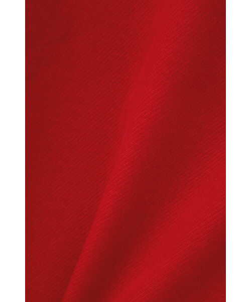 JILL STUART(ジルスチュアート)の「◆フィデルワンピース(ワンピース・レディース・レッド/ブラック・2/0)」の11枚目の写真