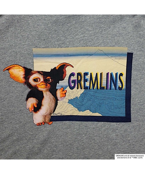 RIVER SIDE CULTURE（リバーサイドカルチャー）の「RIVER SIDE CULTURE/GREMLINS(グレムリン) SEASIDE プルパーカー (M4)（パーカー・メンズ・ネイビー/グレー・X-LARGE/LARGE/MEDIUM）」の8枚目の写真
