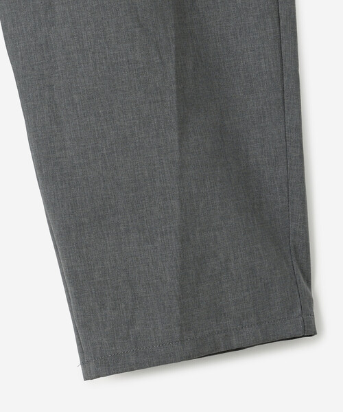 DANTON（ダントン）の「DANTON | ウールライクポリエステル イージーパンツ WOMEN（その他パンツ・レディース・グレー/ピンク・36）」の6枚目の写真