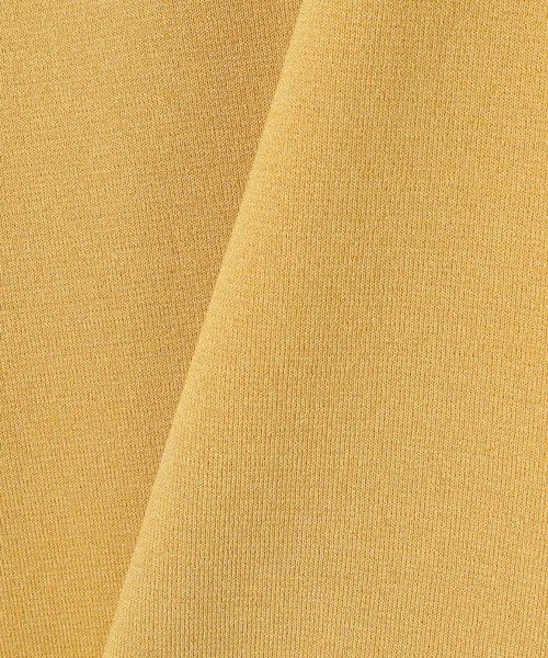 BAYFLOW（ベイフロー）の「ハイゲージＶニットベスト（ニット/セーター・レディース・マスタード/チャコール/オフホワイト・FREE）」の8枚目の写真